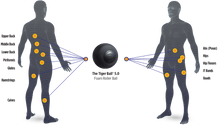 Load image into Gallery viewer, Tiger Tail - 5" Tiger Ball