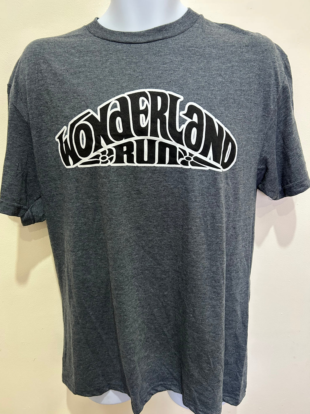Wonderland Men's Casual T-Shirt